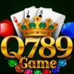 Q789 Game